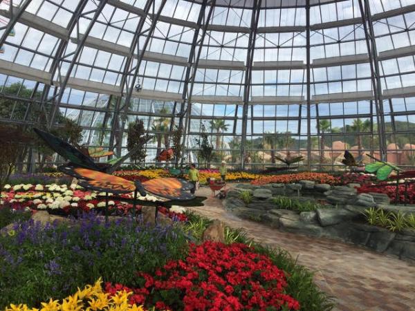 Vinpearl Land mở cửa công viên thực vật 5 châu độc đáo nhất Việt Nam ảnh 3